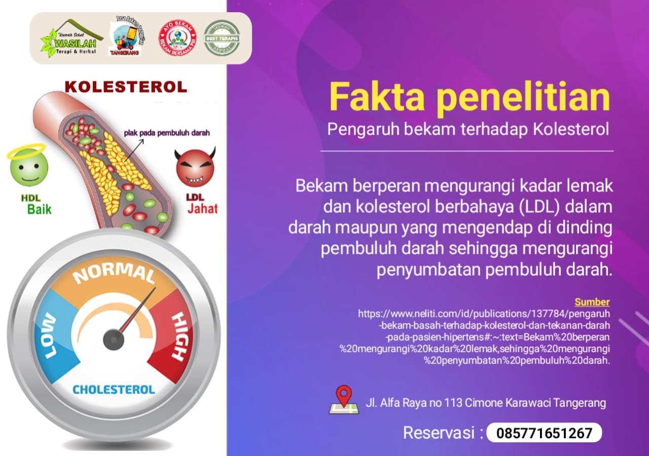 WhatsApp Image 2025-02-27 at 1.27.17 PM (1)